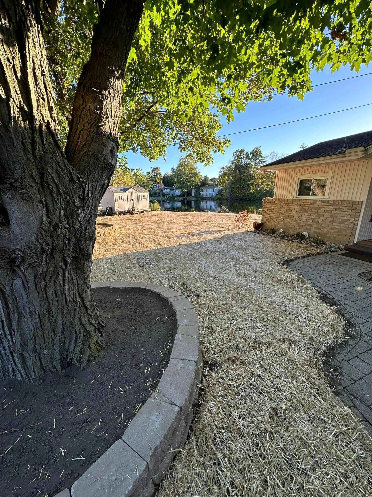 View of a yard with gravel path, tree trunk, brick wall, and buildings in the background. Sunny day.