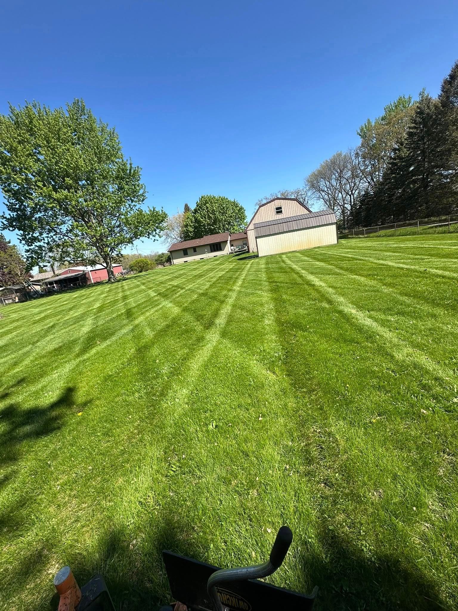Lawn mowed with stripes on a sunny day. Green grass, blue sky, and a house in the background.