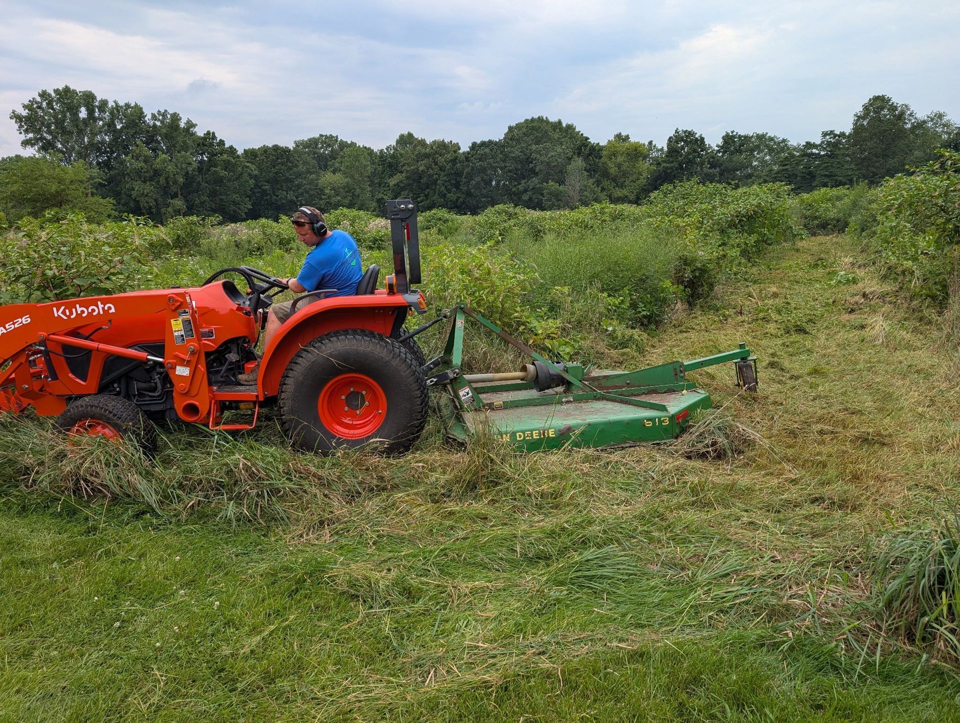 Person driving an orange tractor with a green mower in a field.