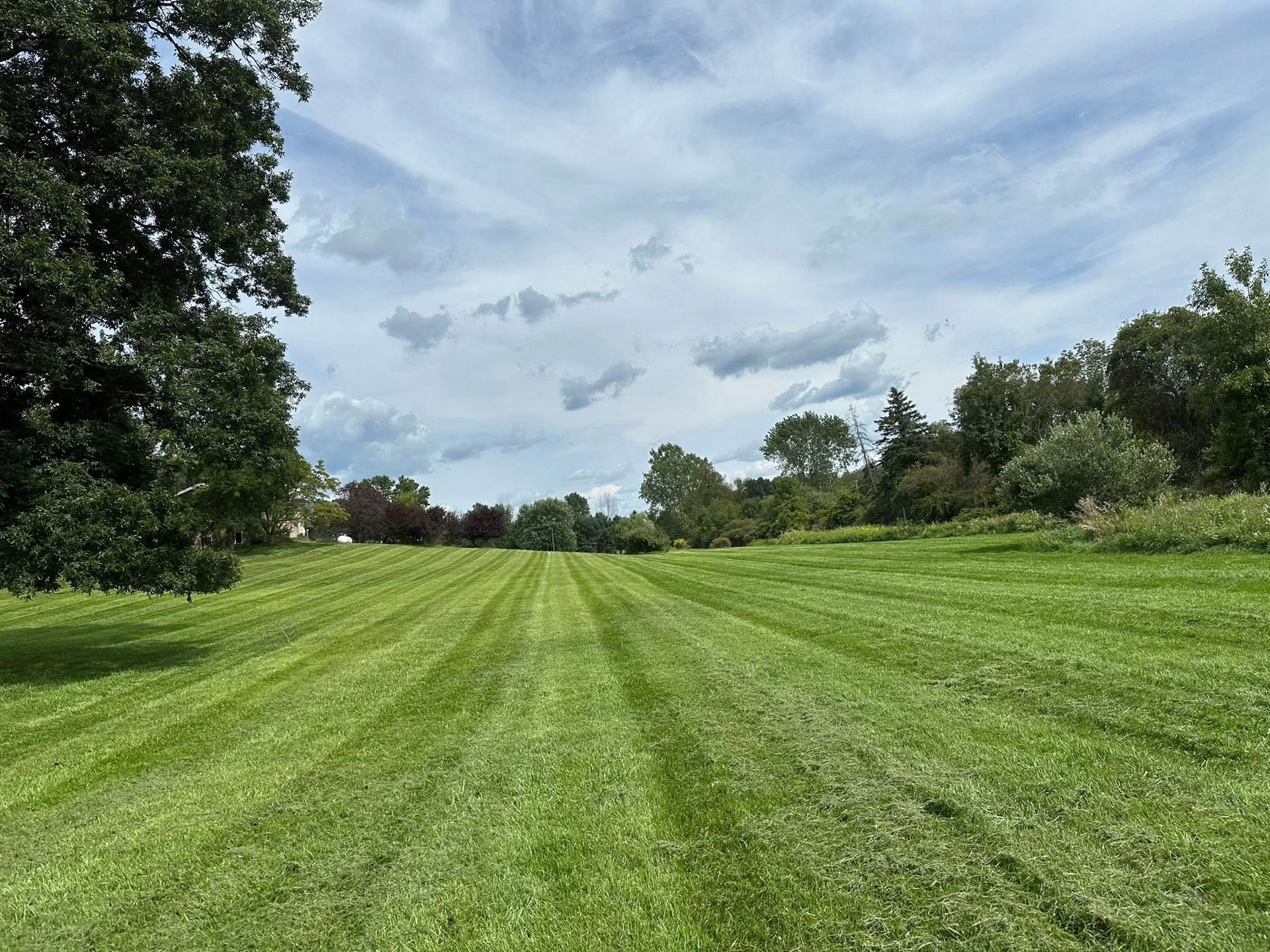 Green field with freshly cut lawn strips under a cloudy sky, trees line the horizon.