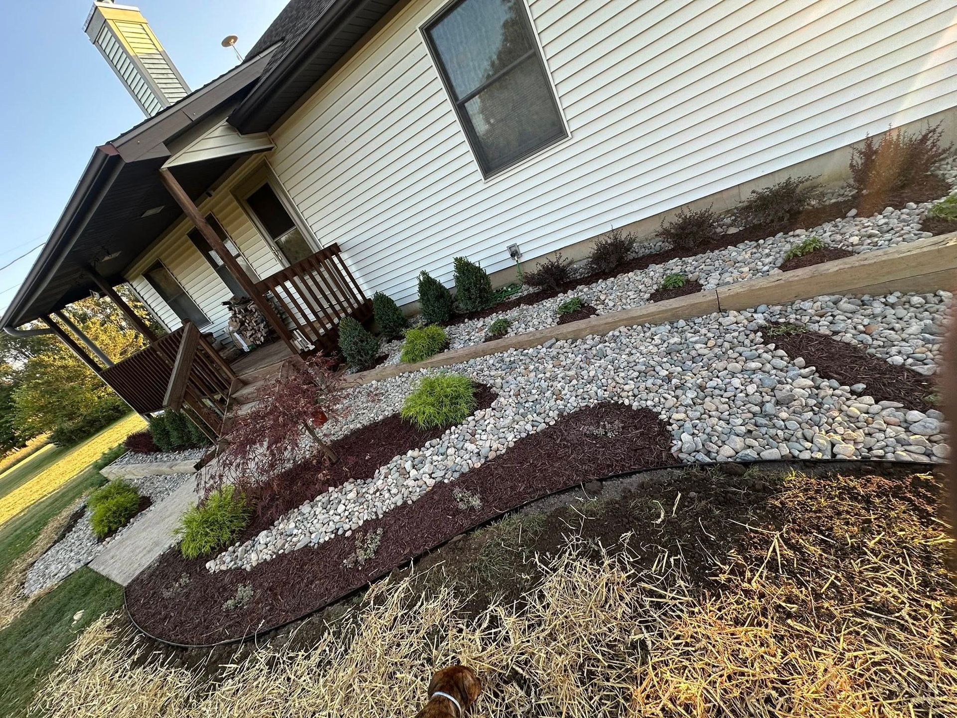 House with gravel landscaping and small plants.