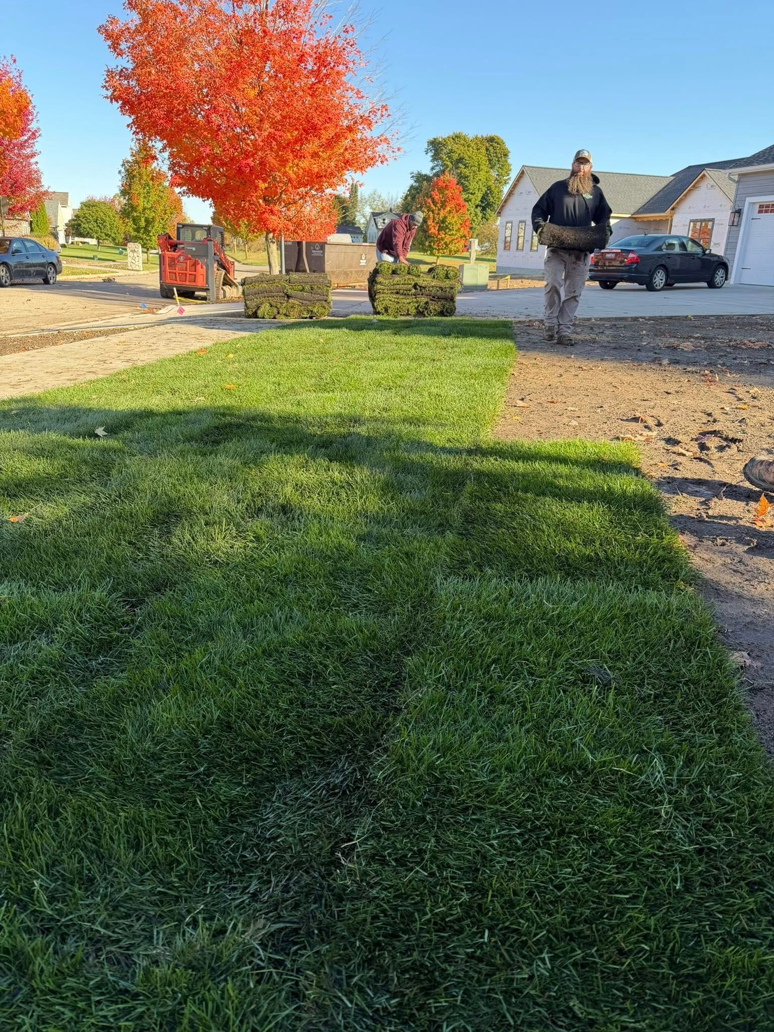 Workers laying sod in a residential area, with vibrant green grass, red-leafed trees, and parked cars visible.