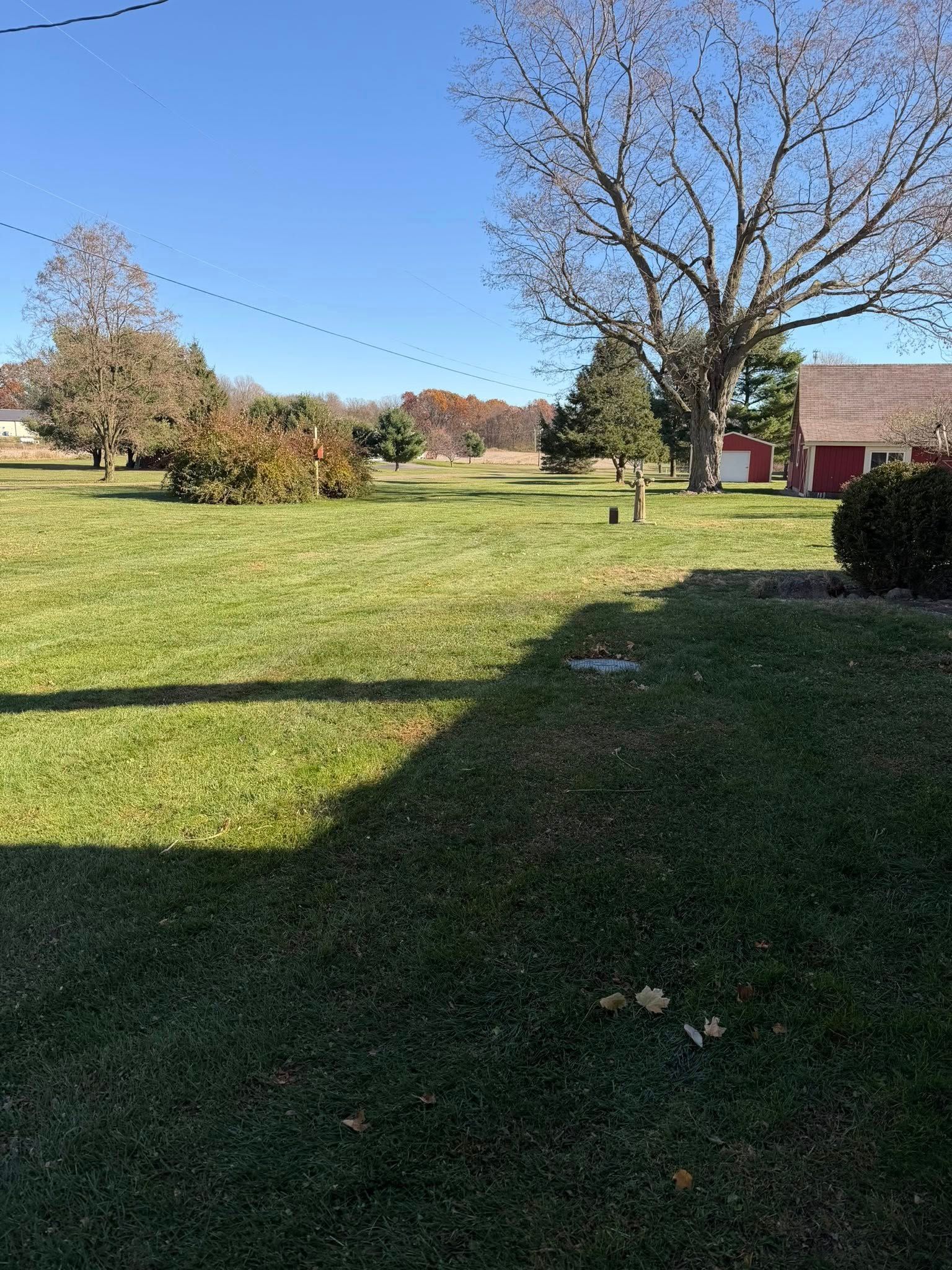 Green grassy yard with trees, a red building and a clear blue sky.