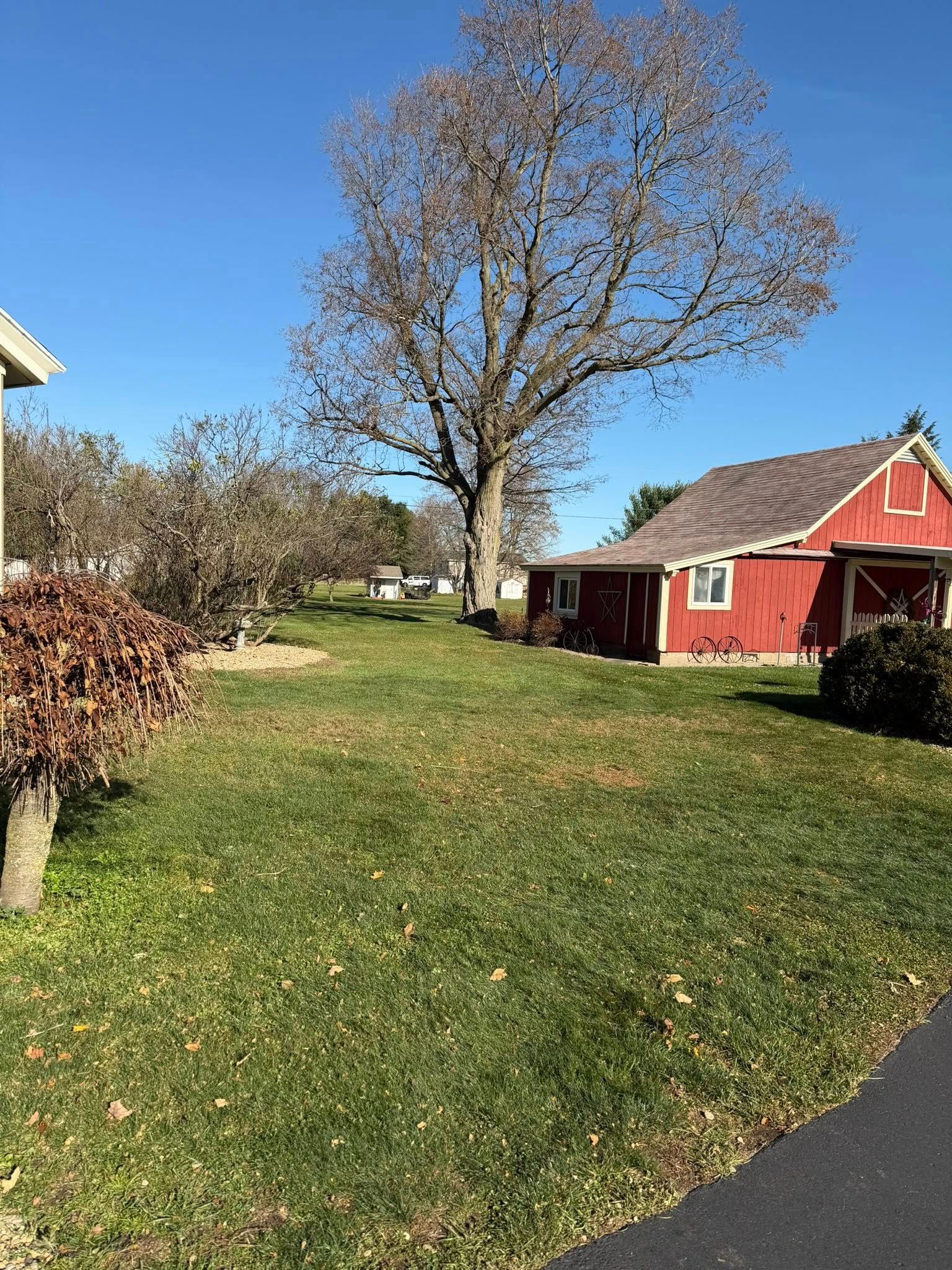 Green lawn with a large tree and red building under a blue sky.