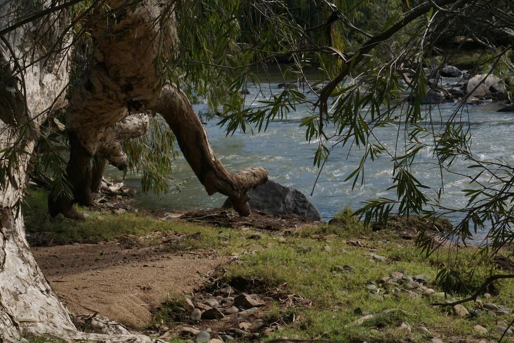 Creek Side View Of Terrible Creek — Expert Glaziers in Collinsville, QLD