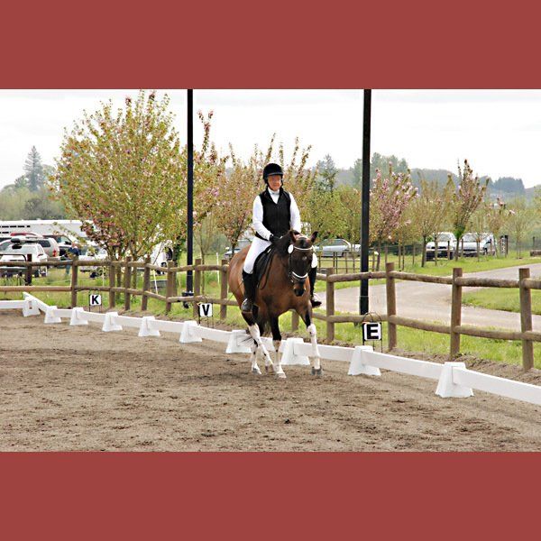 Riding a Dressage Test in Sand Arena — Philomath, OR — Inavale Farm - Stables