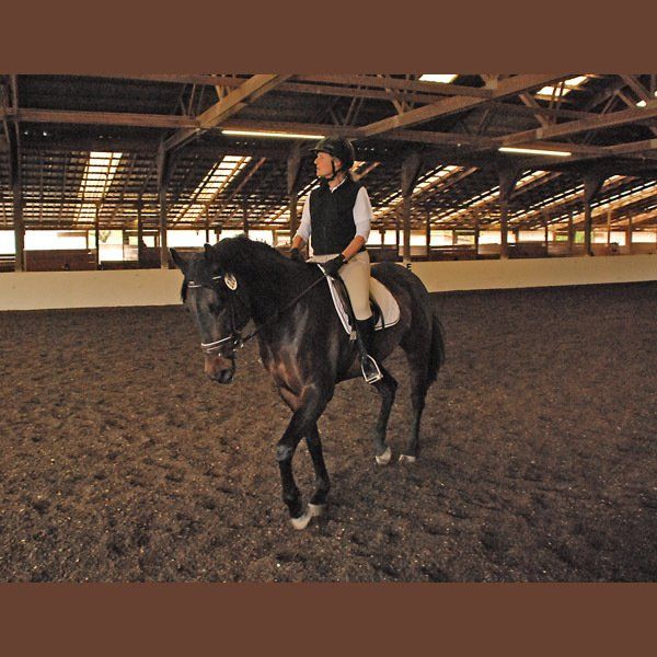 Man Riding a Black Horse — Philomath, OR — Inavale Farm - Stables