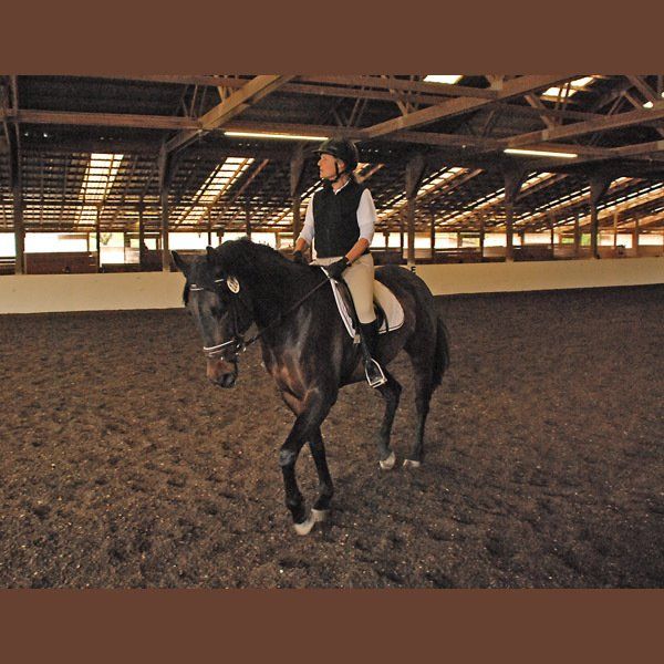 Expert Riding a Horse — Philomath, OR — Inavale Farm - Stables