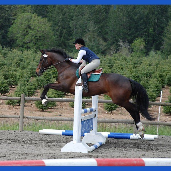 Professional Horse Riding — Philomath, OR — Inavale Farm - Stables