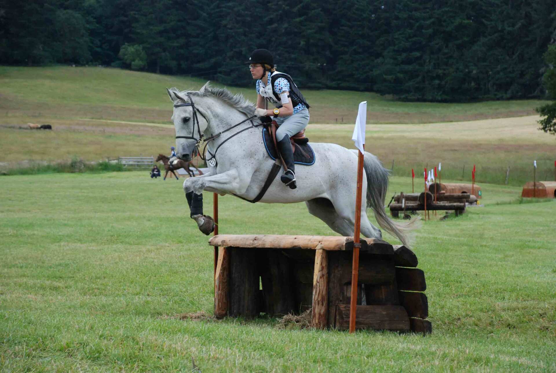 Good Looking White Horse — Philomath, OR — Inavale Farm - Stables