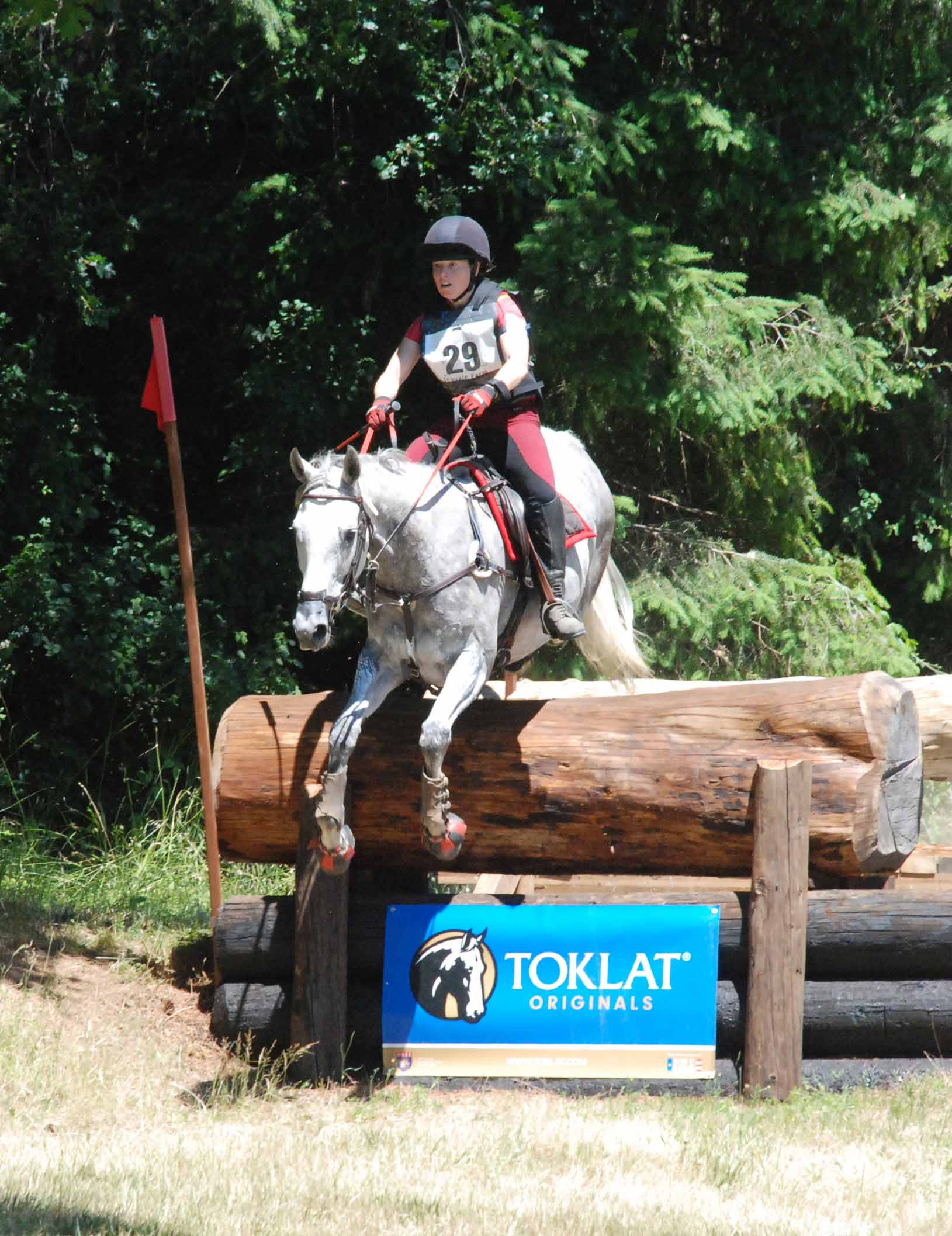 Intermediate Level Toklat Downbank in the Farm — Philomath, OR — Inavale Farm - Stables