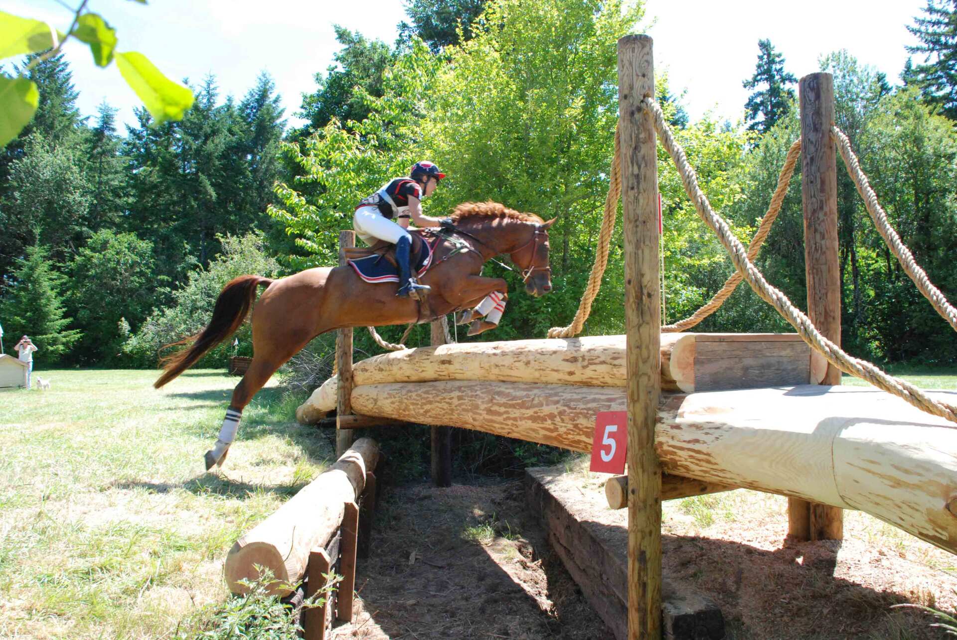 Horse Jumps in the Log Bridge — Philomath, OR — Inavale Farm - Stables