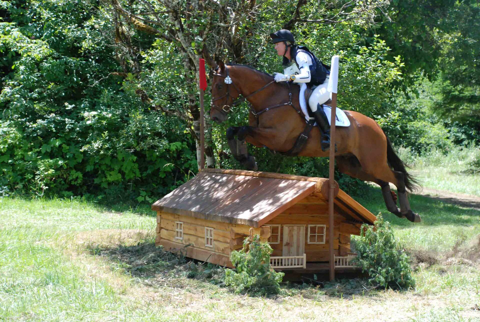 Running in the Farm — Philomath, OR — Inavale Farm - Stables