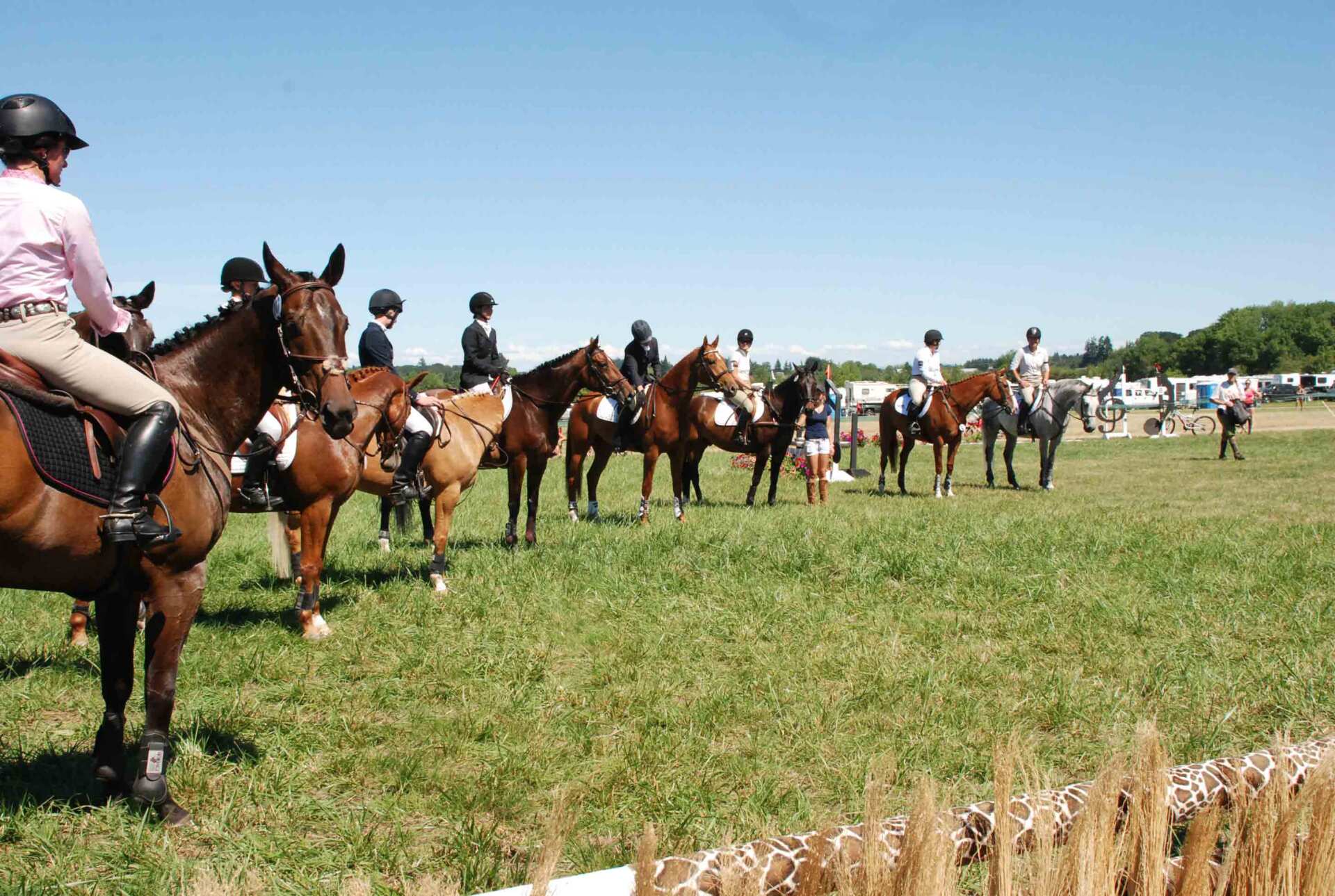 People in the Farm Riding a Horses — Philomath, OR — Inavale Farm - Stables