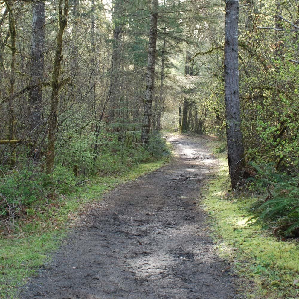 Forested Trails — Philomath, OR — Inavale Farm - Stables