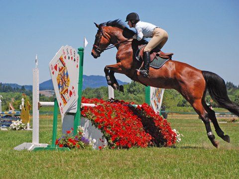 Practicing in the Farm — Philomath, OR — Inavale Farm - Stables