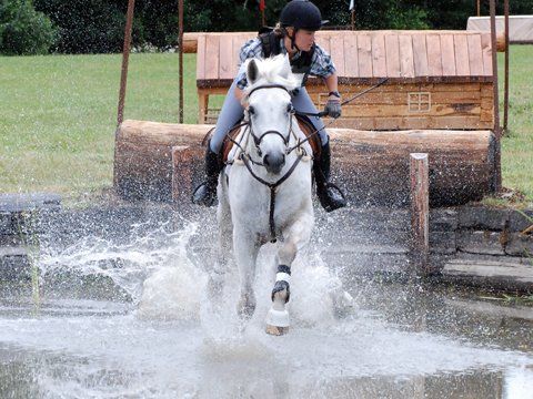 Splashing into the Water Complex at Farm — Philomath, OR — Inavale Farm - Stables