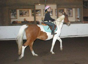 Kid Riding a Horse — Philomath, OR — Inavale Farm - Stables