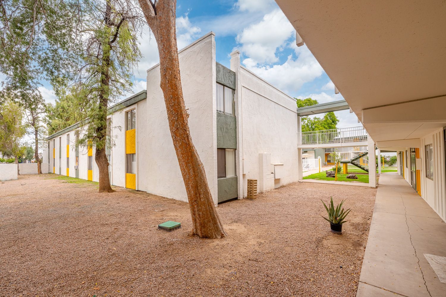 a white building with a tree in front of it