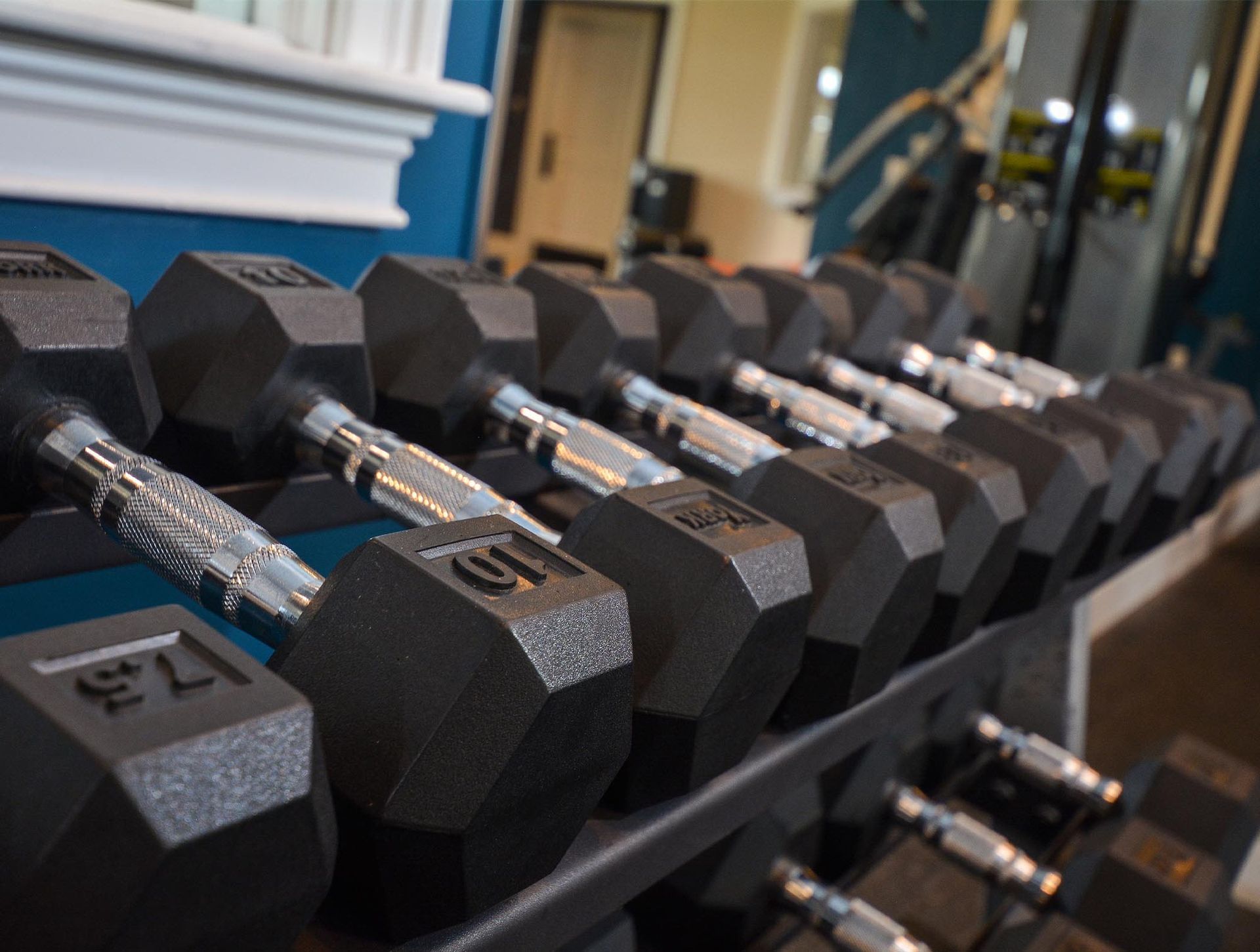 Row of hex dumbbells on a rack in a residential gym.