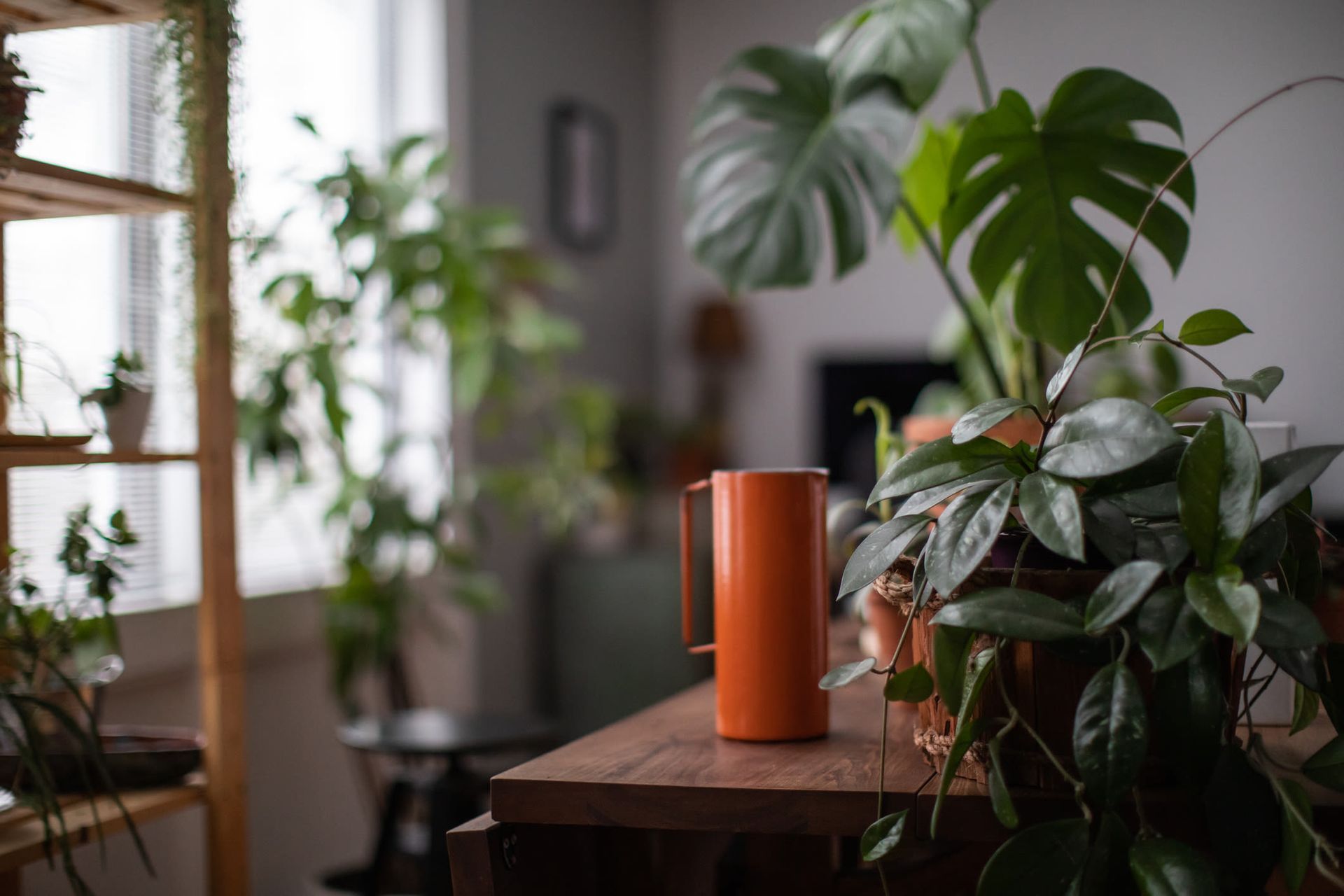 Indoor apartment living area with a wooden table, orange mug, and greenery by a window.