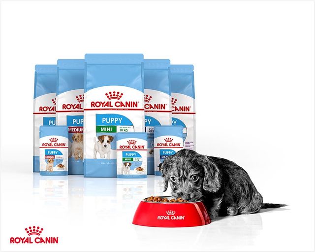 Royal discount canin stockists