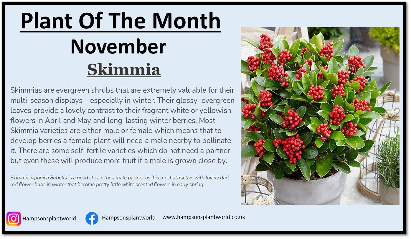 Hampsons Plant World, Denby Dale Road Durkar Wakefield WF4 3BB United