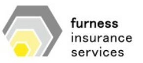 Logo di Furness Insurance Services: design esagonale con forme nidificate grigie, grigio chiaro e gialle. Il testo recita