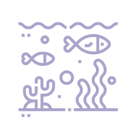 Un ícono lineal de peces y algas en el océano.