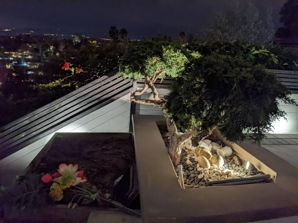 A planter with a tree in it is lit up at night.