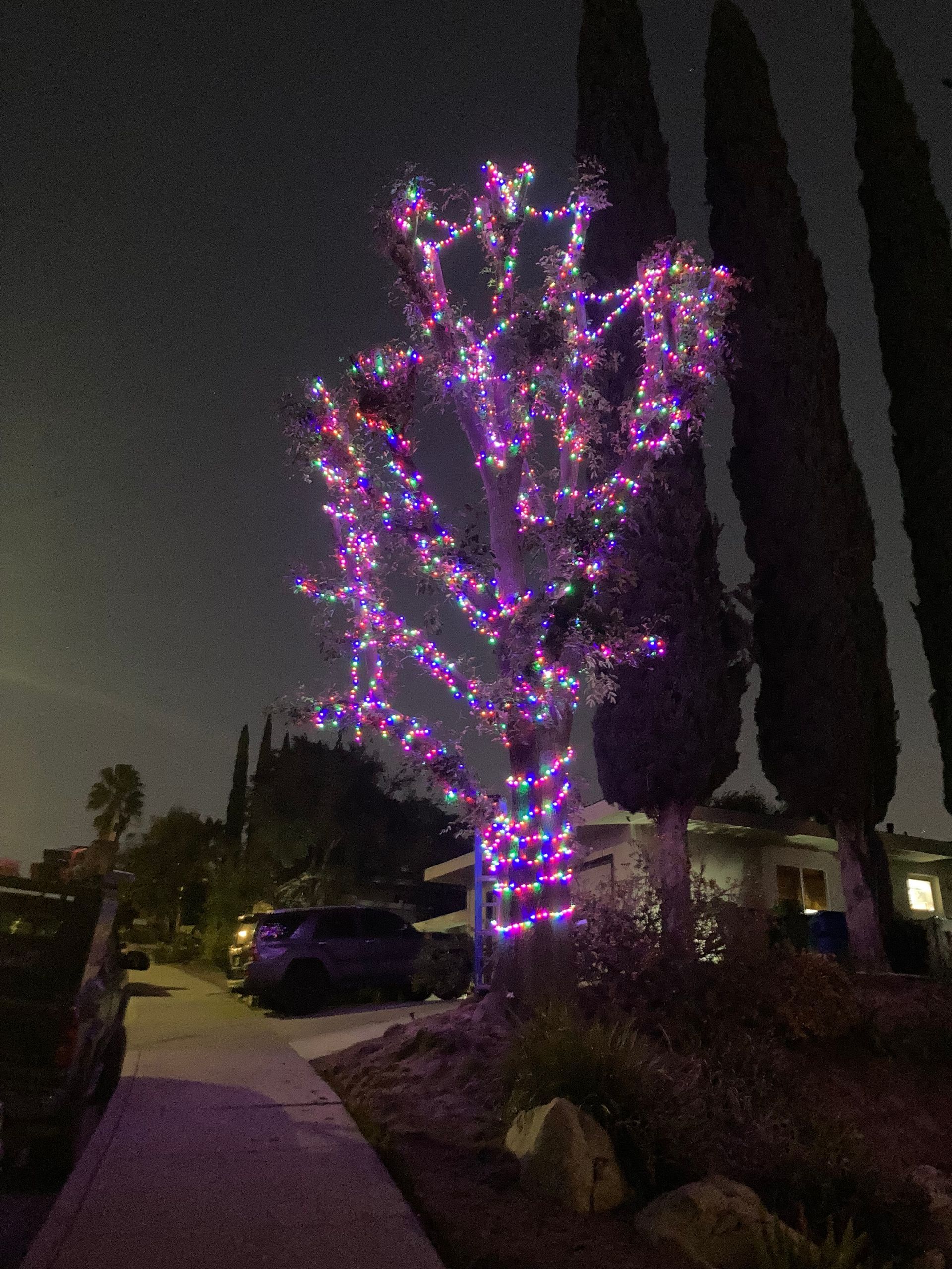 A tree with purple lights on it is lit up at night.