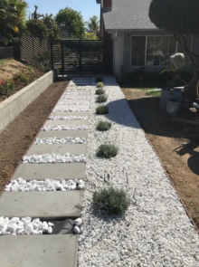A walkway with white gravel and plants in front of a house