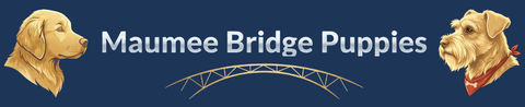 Logo for Maumee Bridge Puppies features a golden retriever, text, and a bridge.