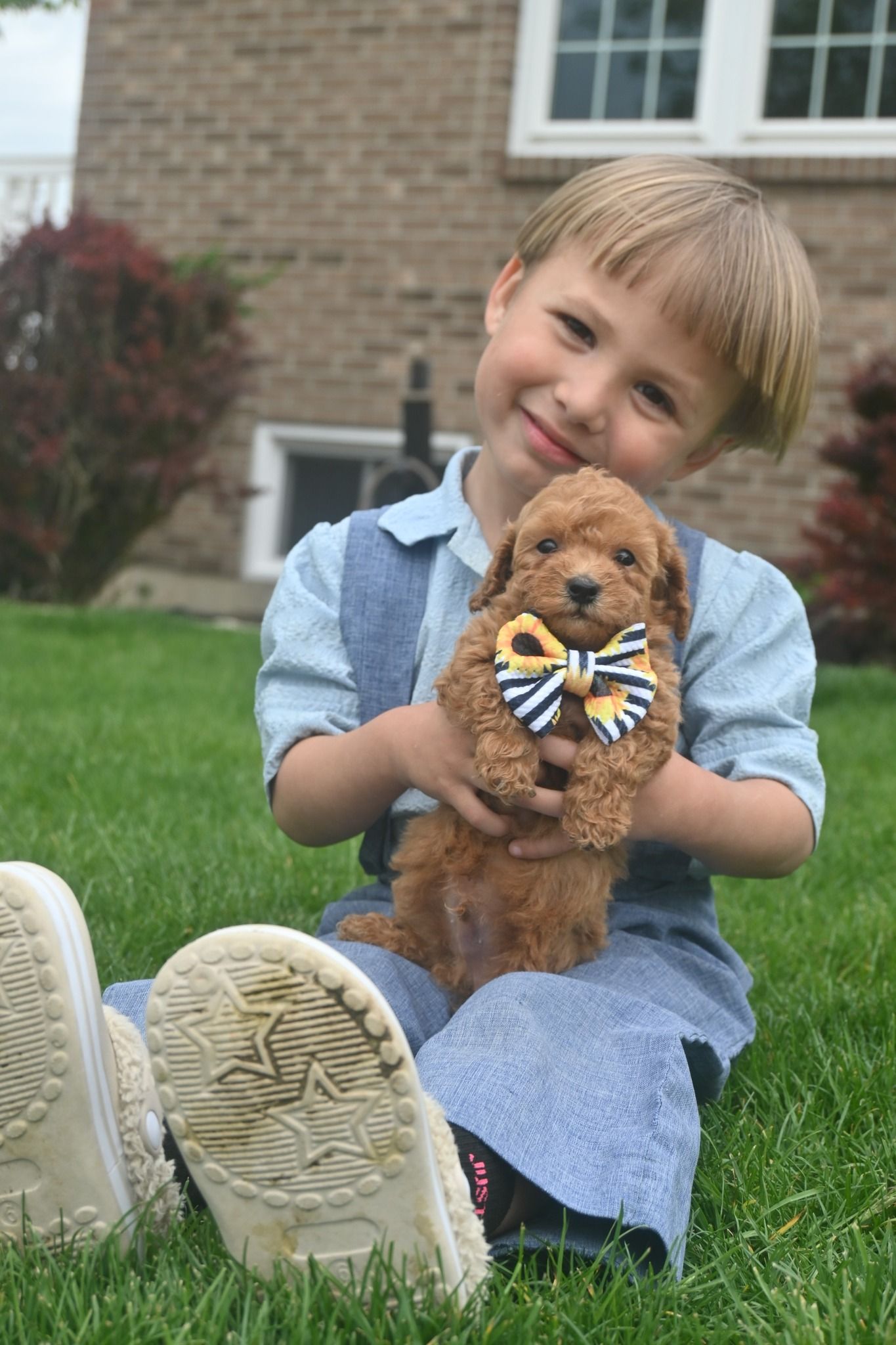 A smiling child sits in a grassy lawn holding a small, brown, curly-haired puppy wearing a striped bow tie.
