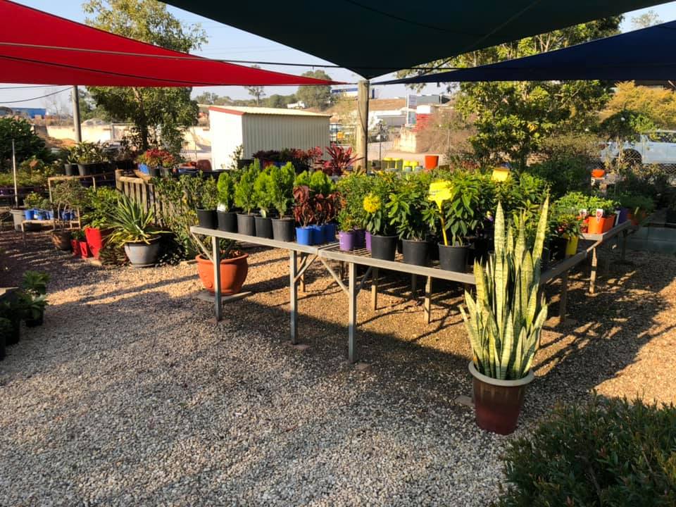 Landscapers in Gympie Golden City Gympie Brick & Landscape