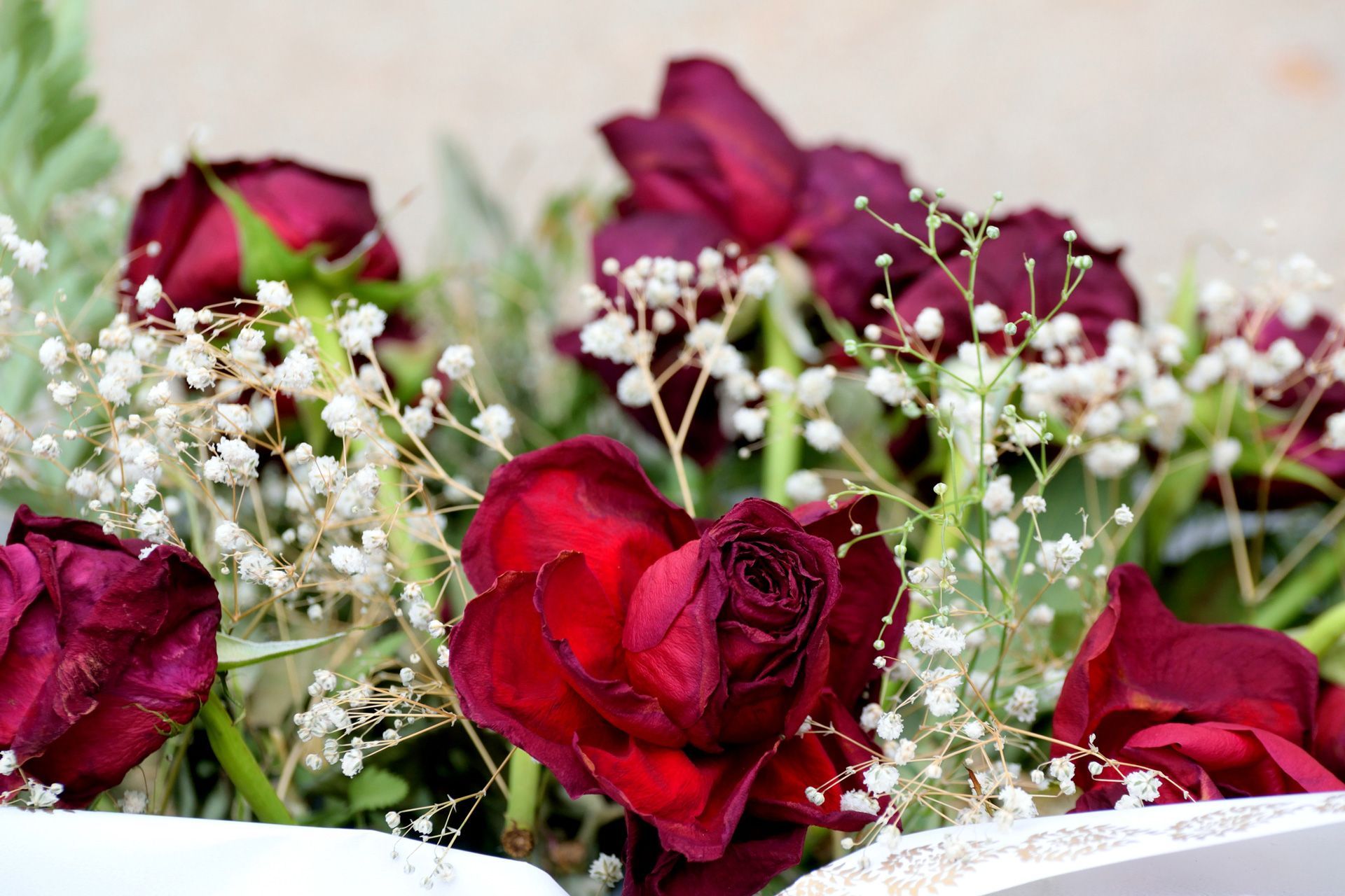 Red Roses — Griffith, NSW — Griffith & District Funerals