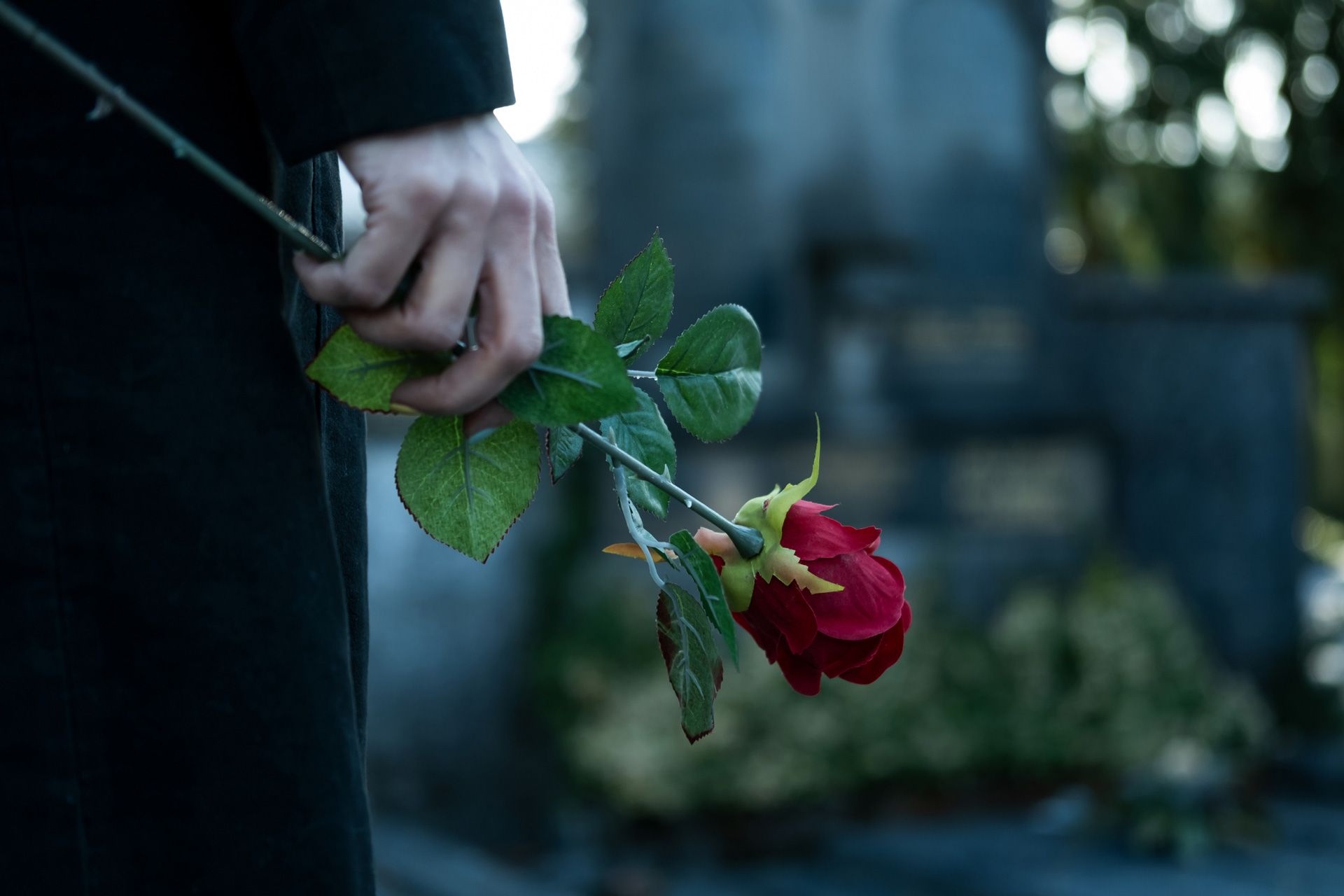 Woman Holding Rose — Griffith, NSW — Griffith & District Funerals