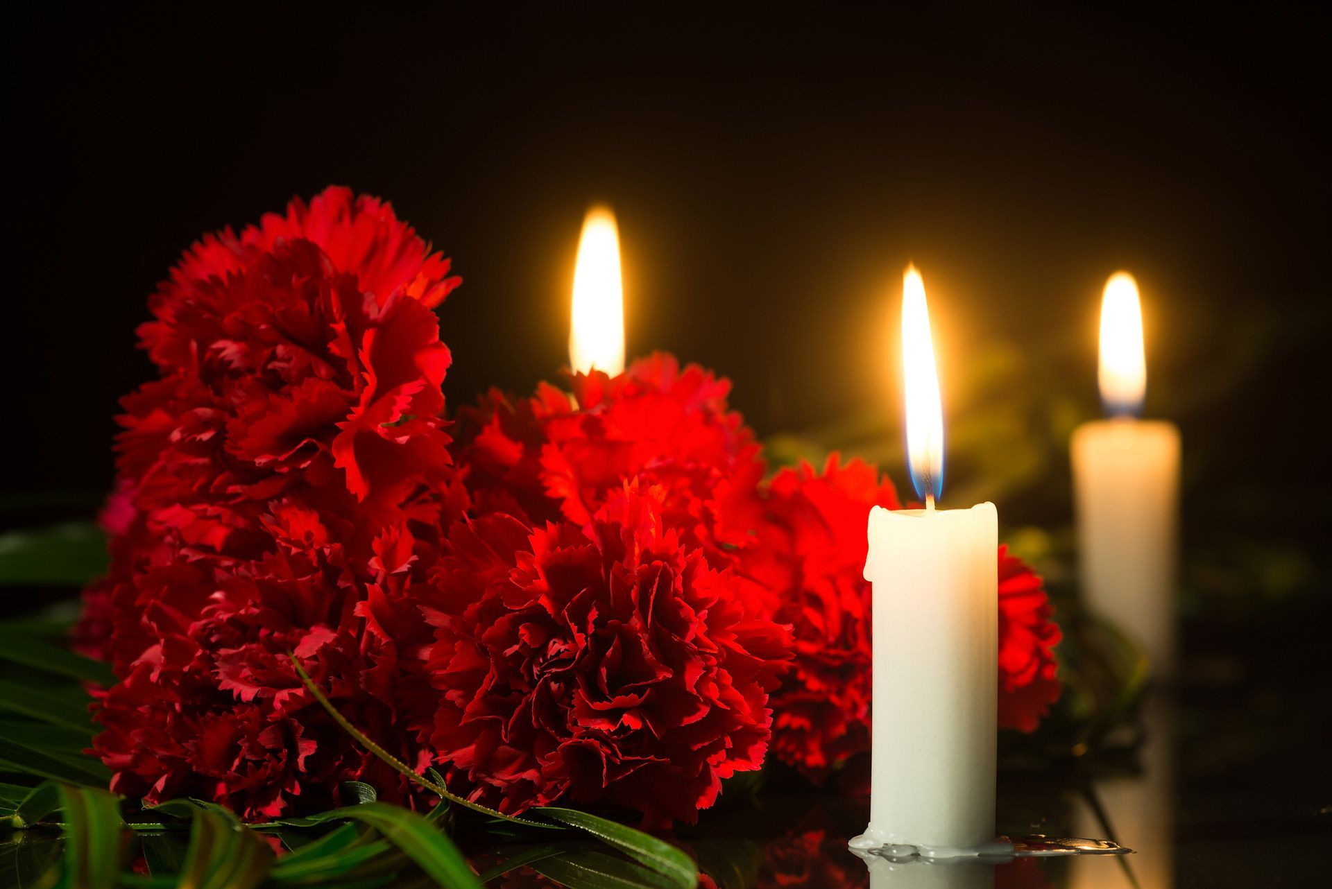 Red Carnation and Candles — Griffith, NSW — Griffith & District Funerals