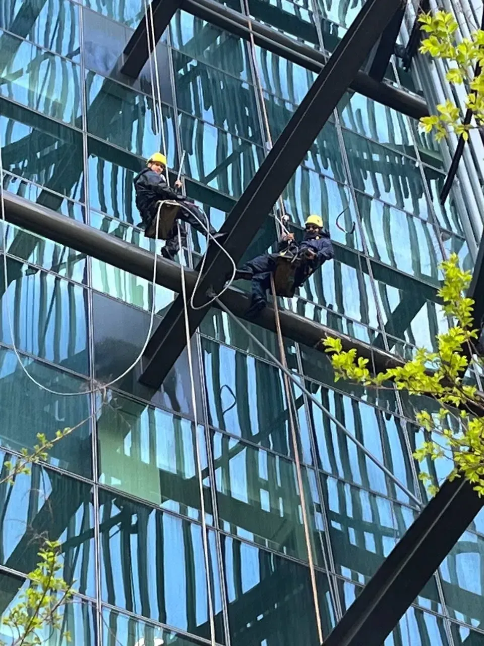 Two window washers suspended on ropes, cleaning a glass-paneled skyscraper. They wear yellow helmets and dark work clothes.