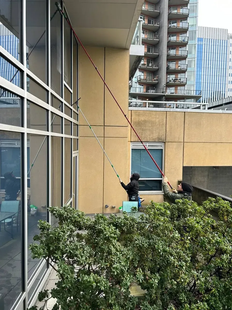 Two people use ropes to secure something on a building's exterior. Overhanging greenery in foreground.