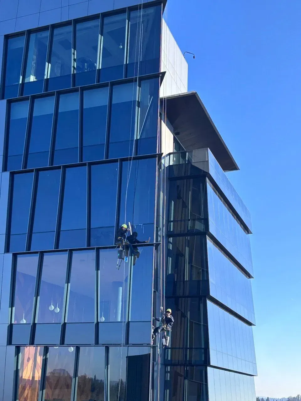 Two window washers on the side of a modern glass skyscraper cleaning windows on a sunny day.