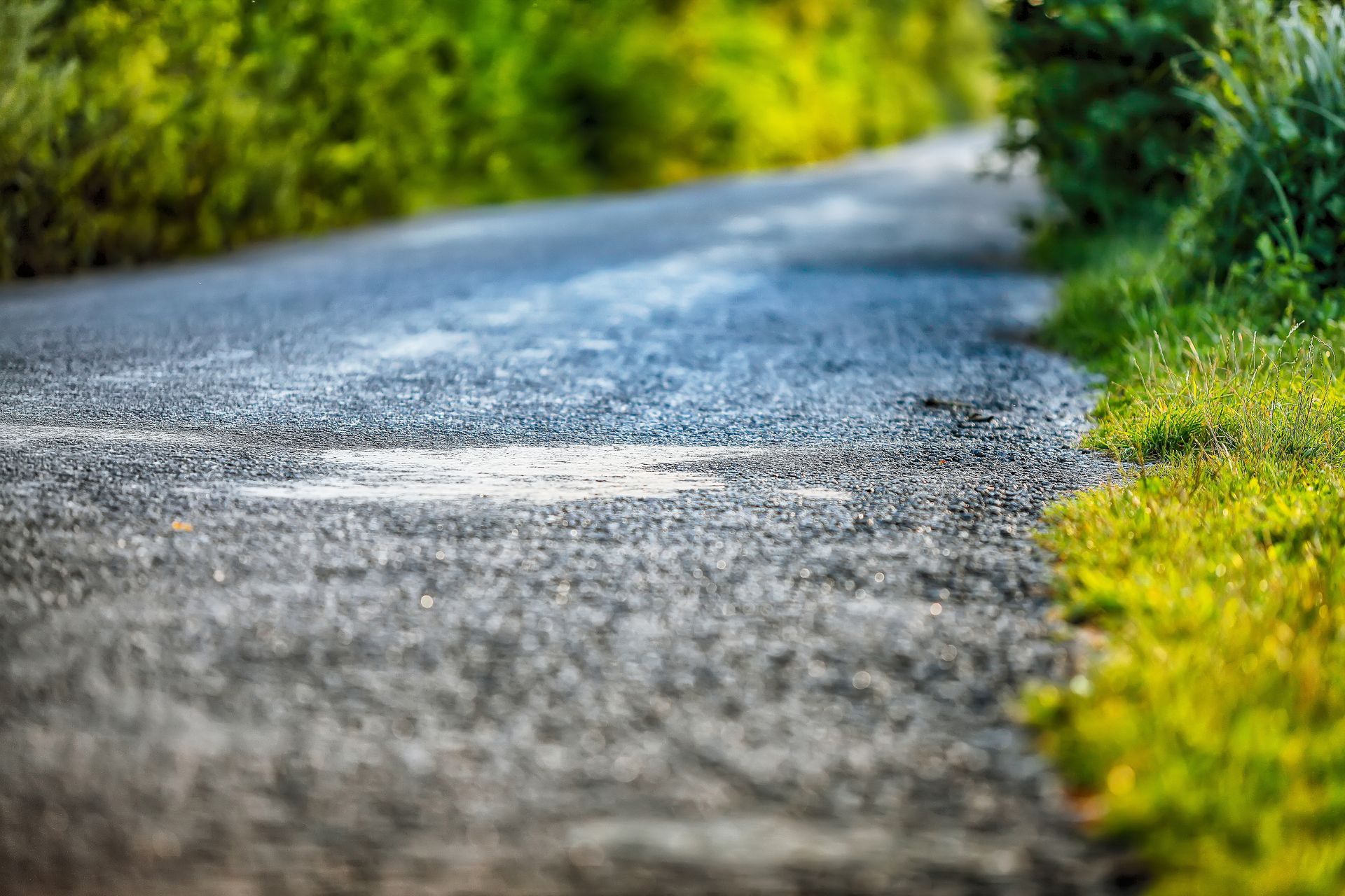 A road going through a forest with trees on both sides.