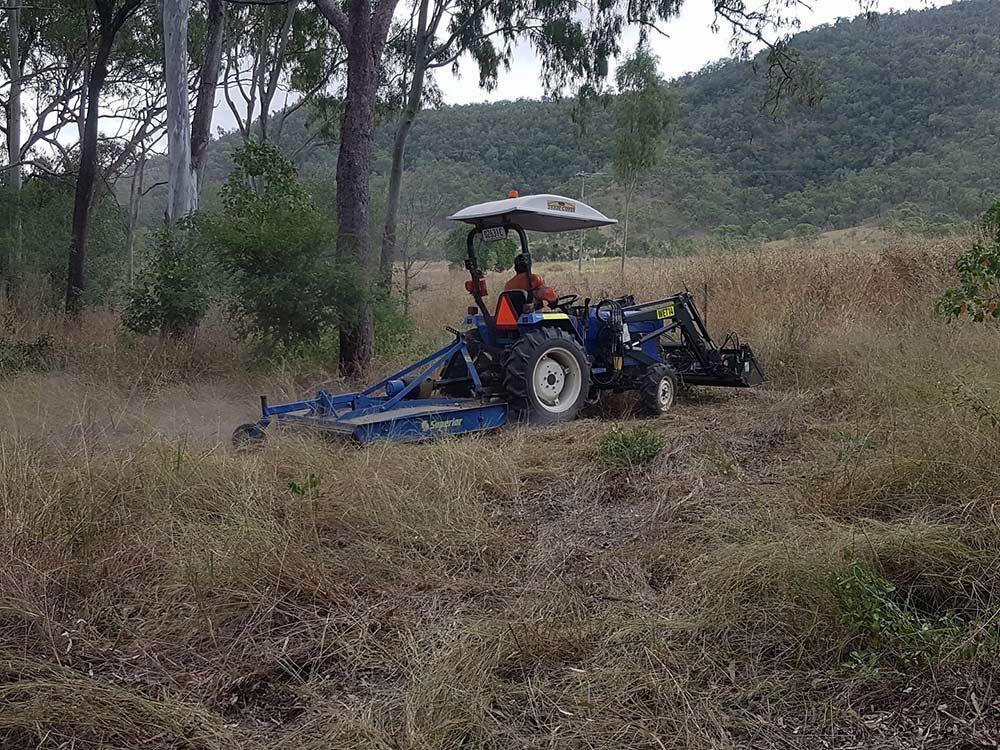 Blue Slashing Equipment cut the Grass — Wetzler Pty Ltd In Marmor QLD