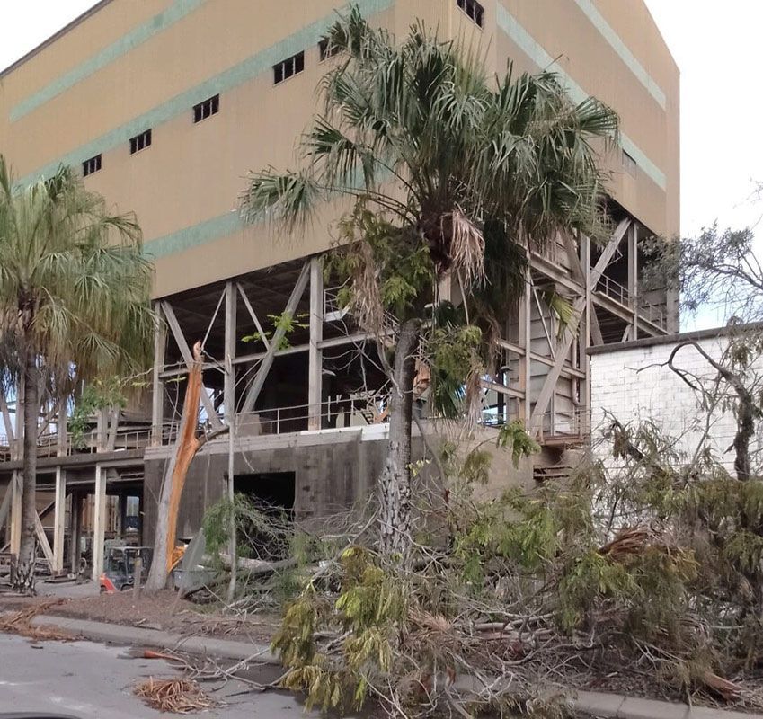 Cut the Trees in the site Construction Building — Wetzler Pty Ltd In Marmor QLD