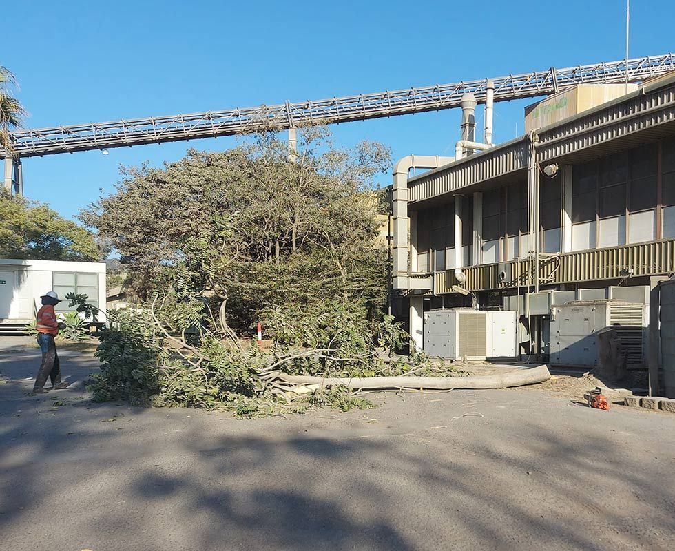 A man Standing in front of a Building with a Bridge in the Background — Wetzler Pty Ltd In Marmor QLD