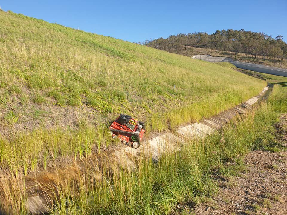 Remote Control Mower Cutting the Grass — Wetzler Pty Ltd In Marmor QLD