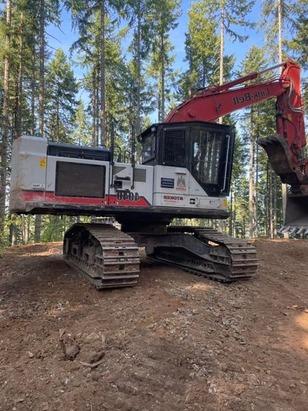 Gray and red excavator in a forest, used for logging.