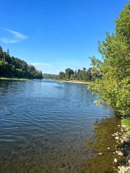 Wide river with clear water under a bright blue sky; green trees line the riverbanks.