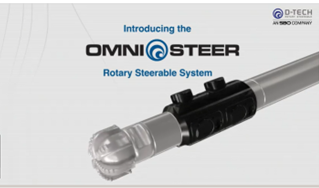 Fact Sheet Document for a company called D-Tech