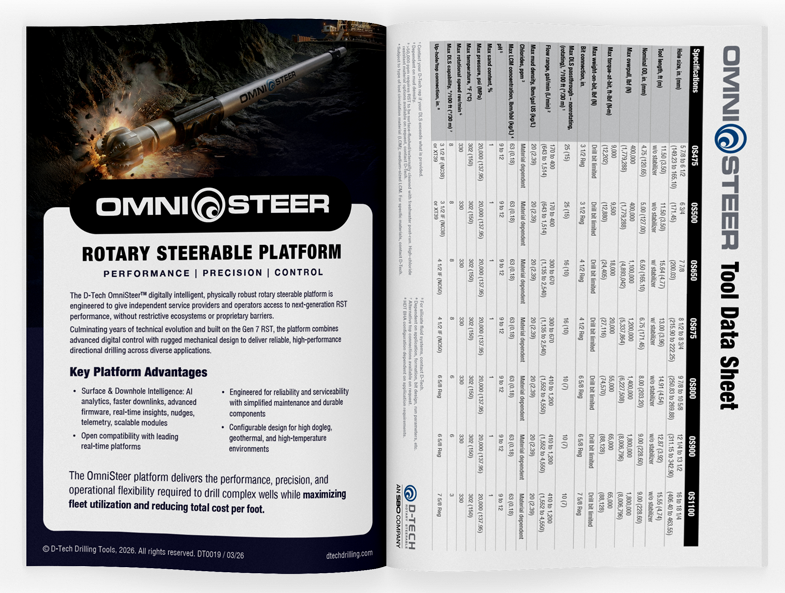 Fact Sheet Document for a company called D-Tech